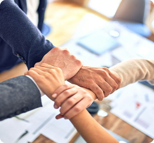 franchise colab image